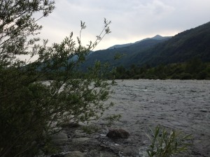IMG_3440