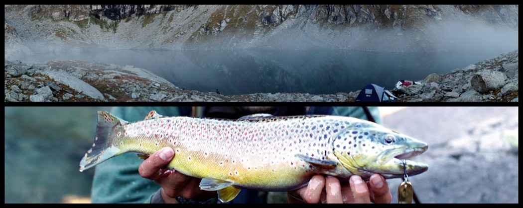 copertina_lago alto e fario 44
