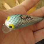 Shikey Lures