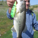 Shikey Lures