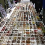 esposizione 1000mosche