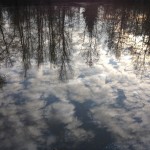 guardando l'acqua ribalti il mondo