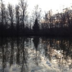 pomeriggio di pesca