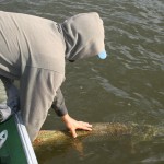 Oliffo Living Lures