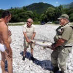 fly fishing in tolmin soca river slovenia