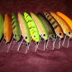 Oliffo minnows