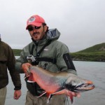 de falco salmone