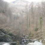 Un riale bacia il suo torrente