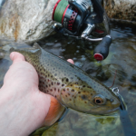 Trota Fario e rapala cd 9