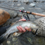 Trota Fario e rapala cd 9