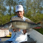 Luccio Perca - Pietro Invernizzi