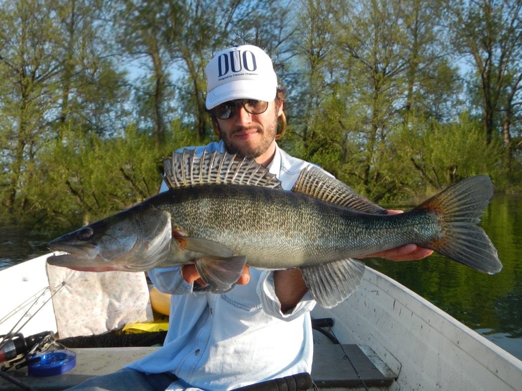 Luccio Perca - Pietro Invernizzi