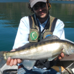 Luccio Perca - Pietro Invernizzi