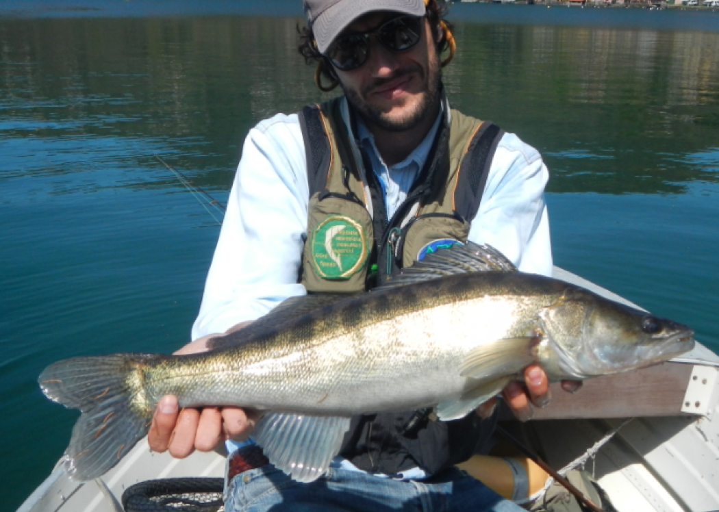 Luccio Perca - Pietro Invernizzi