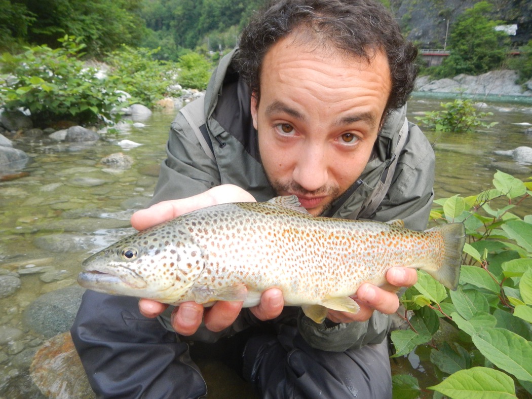 Jaco e fario in Sesia