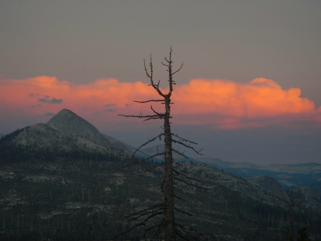Landscape Yosemite Park - California