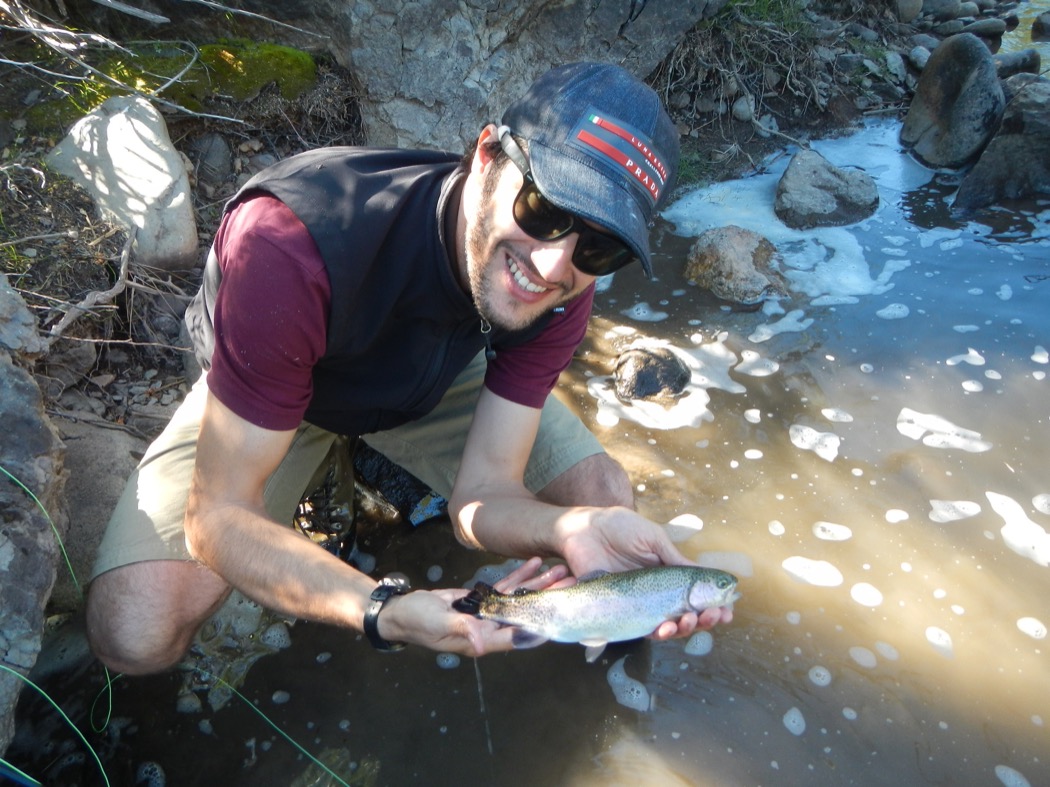 rainbow trout East Carson River