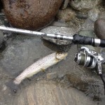 Marmoratina del Sesia