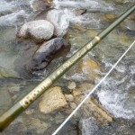 canna mosca torrente