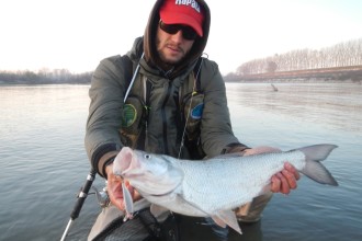 Aspio Rapala Pietro Invernizzi