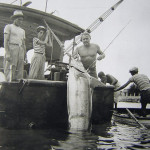 celebs celebrities fishing personaggi famosi a pesca pescatori famosi amanti della pesca