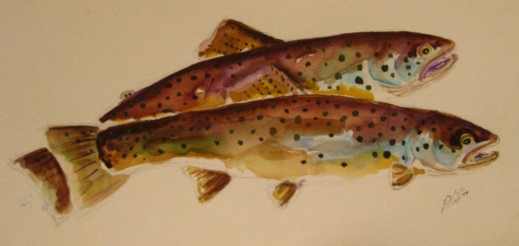brown trout study di philip http://illustratedtrout.blogspot.it/  (Tratto da capitanrustyhook.com)