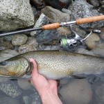 The Bangher Rod, canna portentosa. Shimano Twin Power 4000, Power Pro 8 slick, Rapala BX 10 S