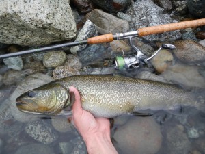 The Bangher Rod, canna portentosa. Shimano Twin Power 4000, Power Pro 8 slick, Rapala BX 10 S