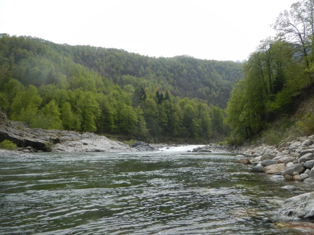 Magnificient river Sesia