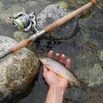 Trota Fario Sesia Spinning