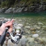 Stella Biomaster Rapala