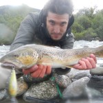 Ibrido Marmorata Record Big Sesia Pietro Invernizzi
