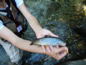 Jacopo con una fario scurissima
