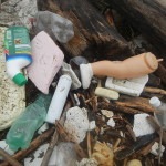 Rifiuti plastici a Isola Serafini, Po