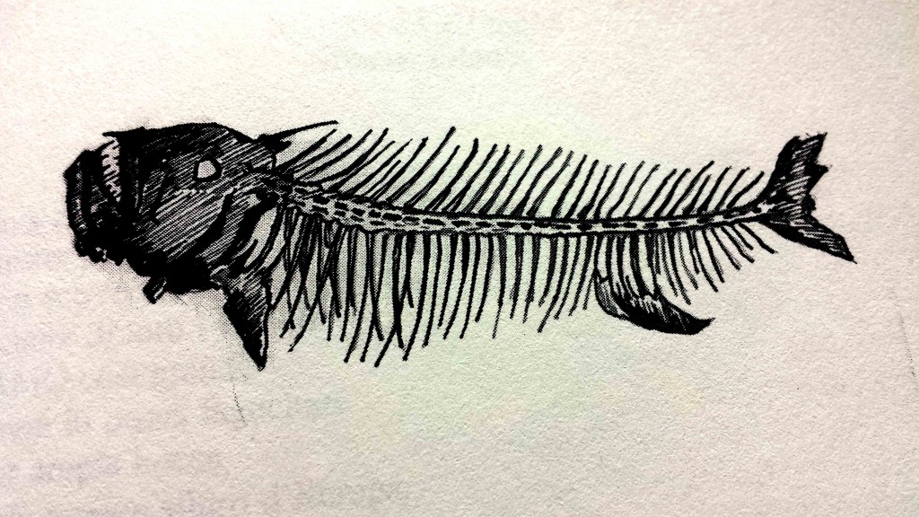 Illustrazione del libro Bestiario della pesca con canna in acque dolci