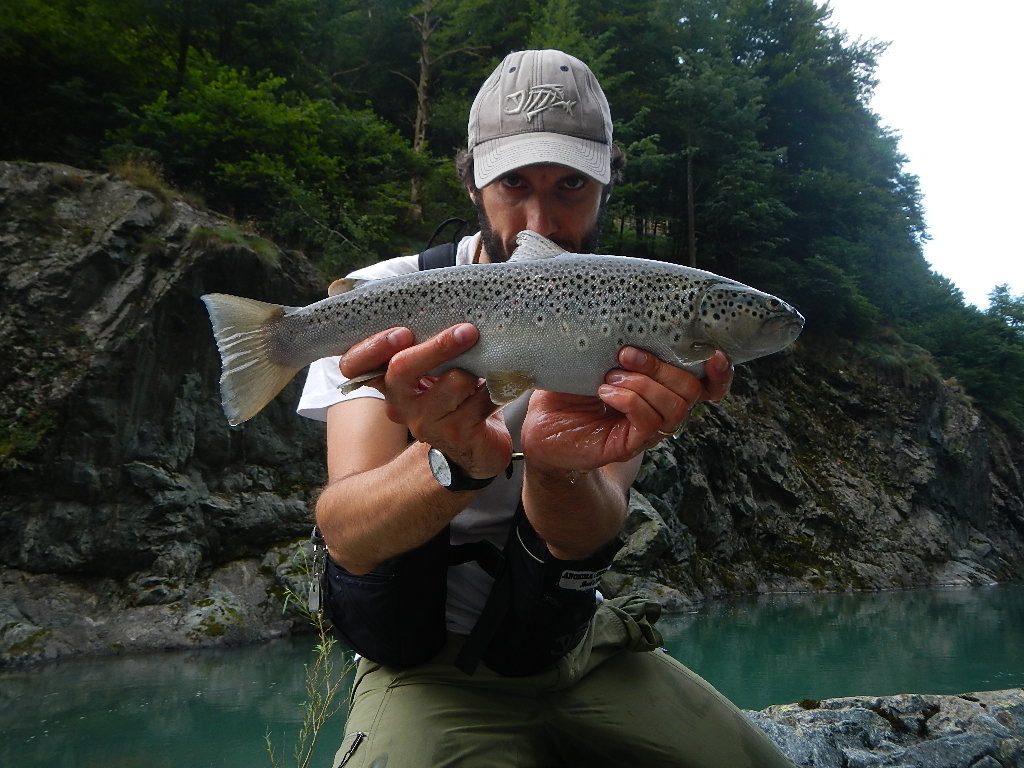 Trota fario over 40... wild!