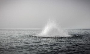 Esplosione subacquea - foto presa da google immagini