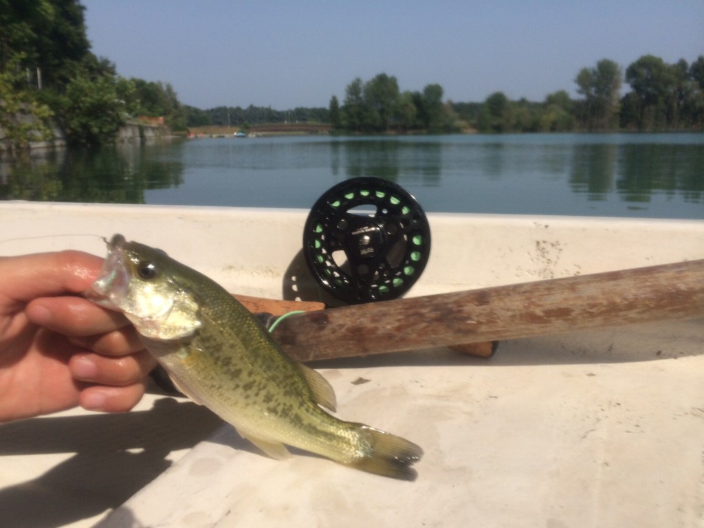 Battua al bass all'Idroscalo - pesca a mosca Anonima Cucchiaino