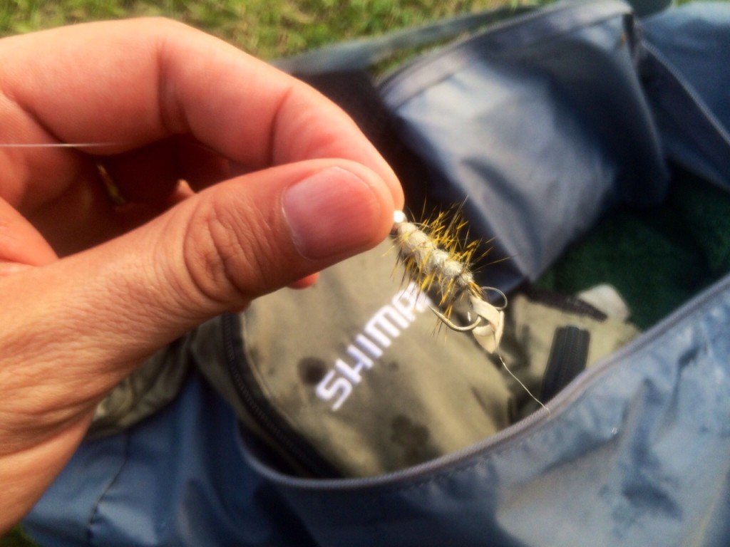 Battua al bass all'Idroscalo - pesca a mosca Anonima Cucchiaino