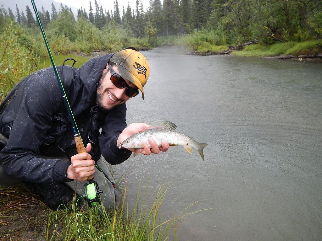 Pescando temolo a mosca secca in Alaska