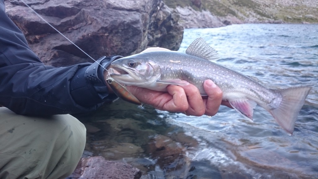 Salmerino e Real Deal Urban Fishing