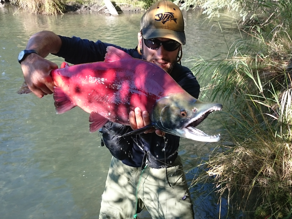 Pietro e un Big Red Salmon