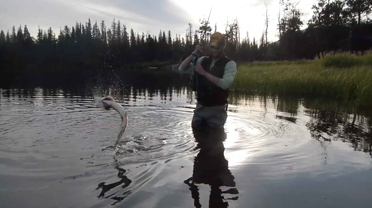 Jumping Pike Fly Fishing 