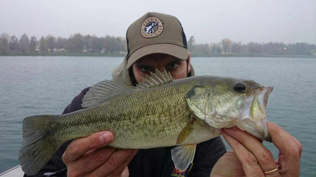 Anonima e il primo bass da almeno, guarda minimoo minimo, come ridere  65cm per 5 kg!