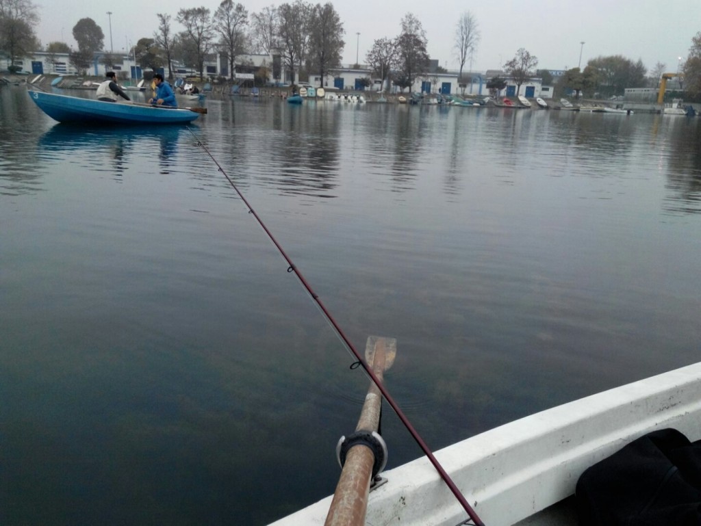 IMG-20151115-WA0004