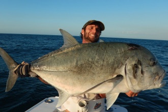 Giant Trevally Big Gt Pietro Invernizzi