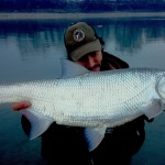 Pietro e un big aspio del Po!