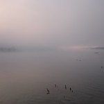 Paesaggi all'alba sul grande fiume