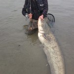 Un grande trofeo per la piccola attrezzatura!