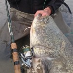 GLoomis NRX 822 5/16oz 6'6", Stella 4000, power pro 20lbs